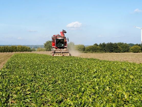 Agricultural machine harvesting a green crop in a field under a clear sky, with a wind turbine visible in the background.