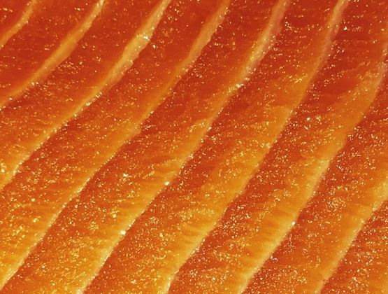 Close-up of salmon slices with a glossy texture and orange tones.