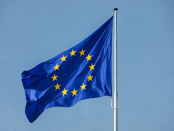 European Union flag waving against a clear blue sky. Dairy products: Glass of creamy yoghurt topped with a blackberry, served on a p