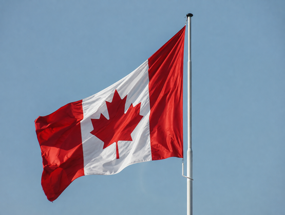 Canadian flag flying against a clear blue sky