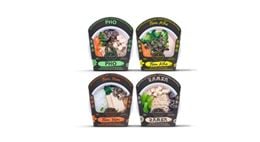 Asian-Inspired Soups, authenticity in skin packaging 