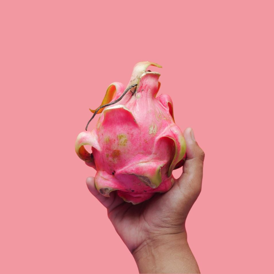 Hand holding a dragon fruit on a pink background, close-up minimalist shot.