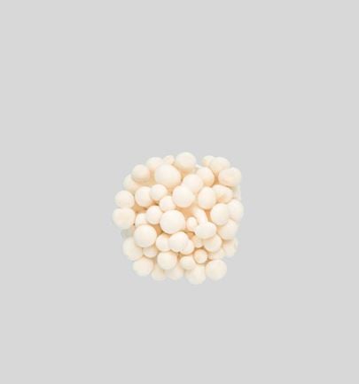 Cluster of white enoki mushrooms centered on a light grey background, minimalist photo of a culinary ingredient.