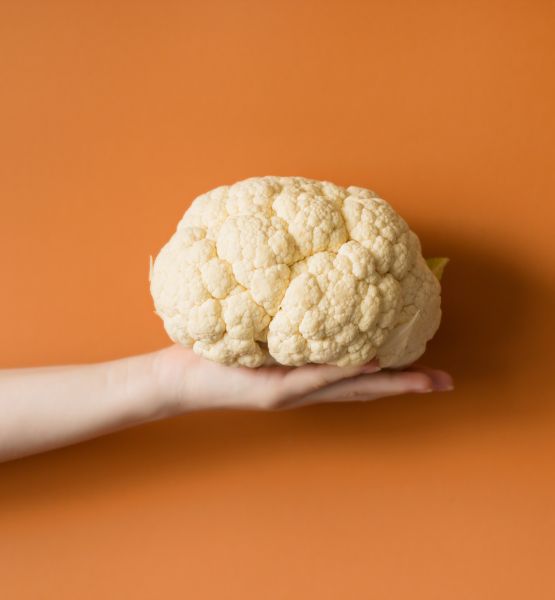 Hand holding a cauliflower on orange background 