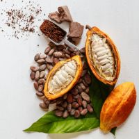 Cocoa pulp