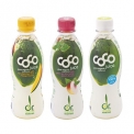 Dr. Antonio Martins coco juice - Organic coconut juice with fruit flavours. In a 33cl bottle to go. <br/>SIAL PARIS 2014