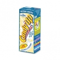 Candia Candy'up Limited Edition White Chocolate - White chocolate flavoured milk drink. In a 20cl carton with straw. Limited edition.<br/>SIAL PARIS 2014
