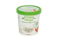 Coconut and Strawberry Sorbet - Vegan - Vegan ice cream with no added sugar in individual pot. Dairy free. No artificial flavors, colors or preservatives. No hydrogenated fats. Soy and gluten free.<br/>SIAL PARIS 2016